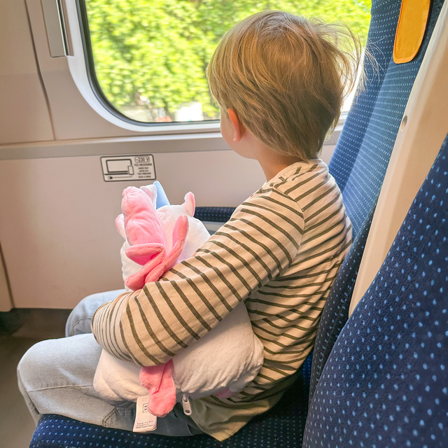 Unicorn Travel Pillow