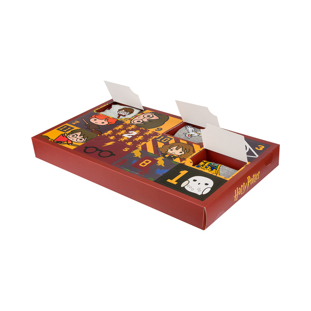 Gift Box ze Skarpetkami Harry Potter 6-pak