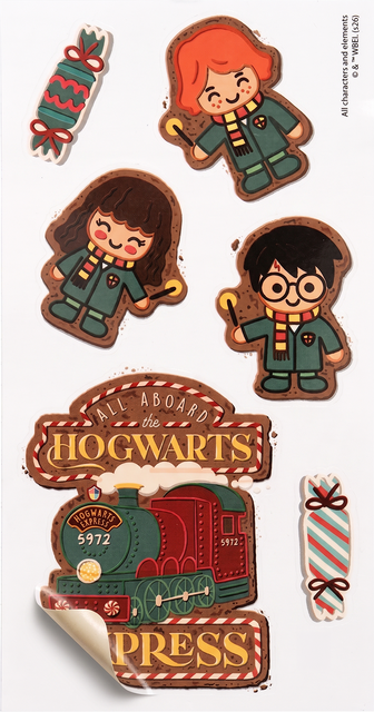 Harry Potter Socks in a Box