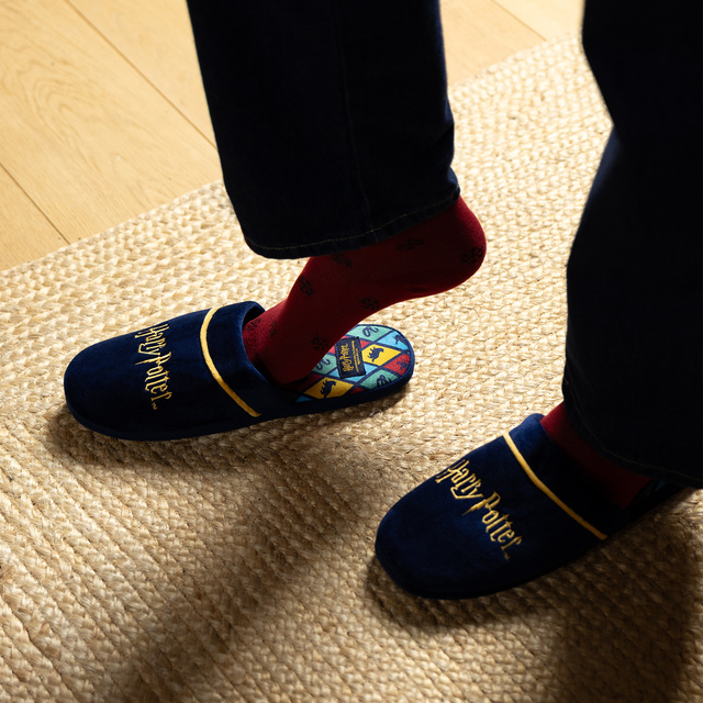 Harry Potter men's slippers