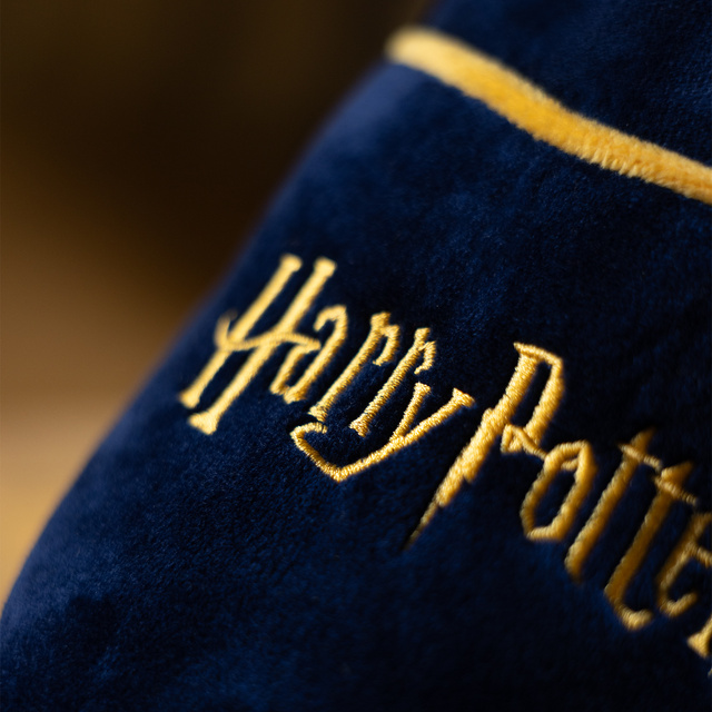 Harry Potter men's slippers