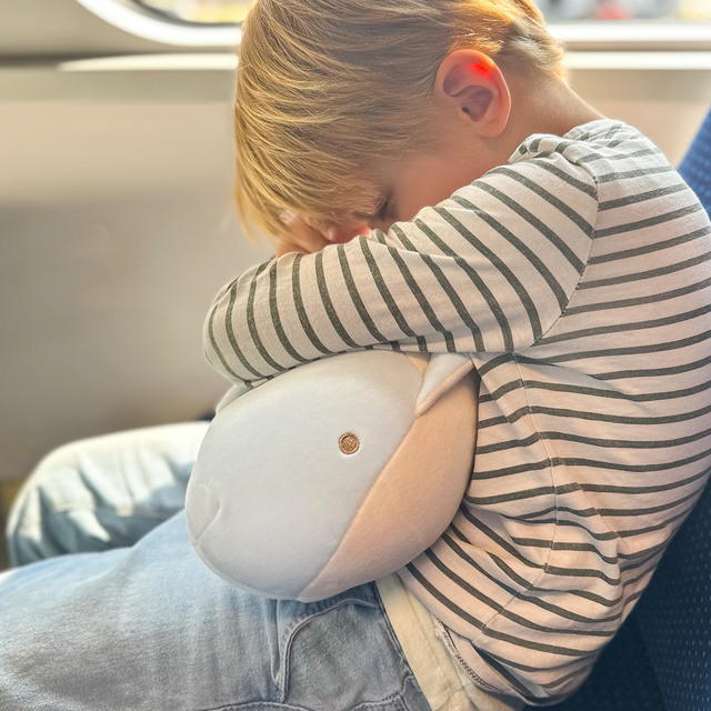 Dolphin Travel Pillow
