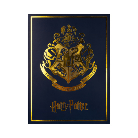 Gift Box Harry Potter skarpetki damskie książka - 6 par