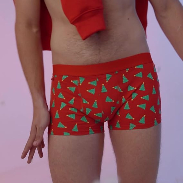 Christmas Men's Boxer Shorts 4-Pack