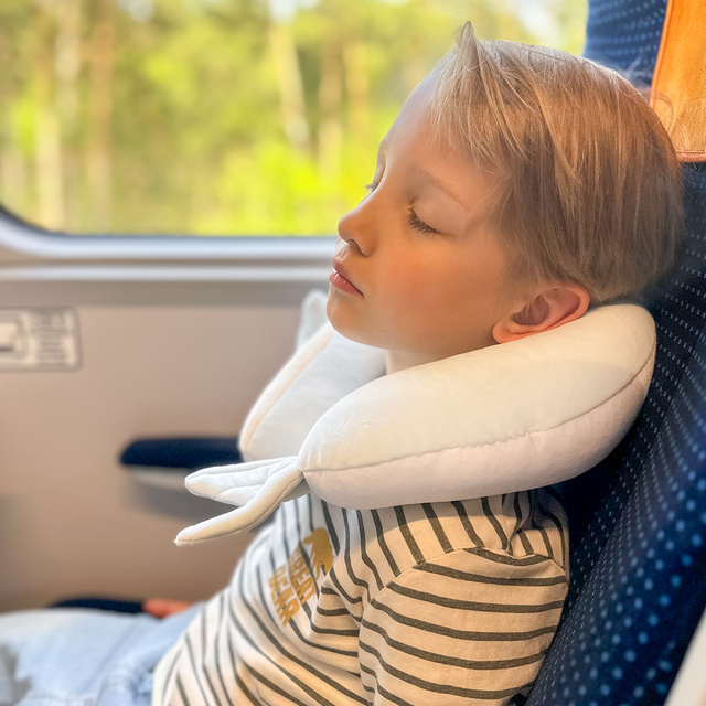 Dolphin Travel Pillow
