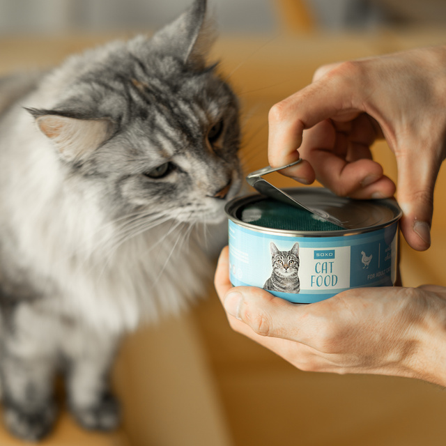 Cat Food Socks in a Can