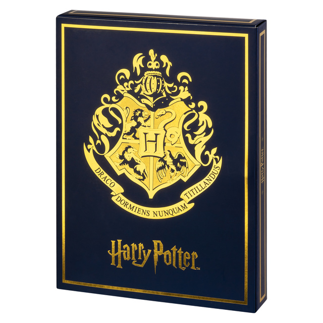Kalendarz Adwentowy ze Skarpetkami Harry Potter 6-pak