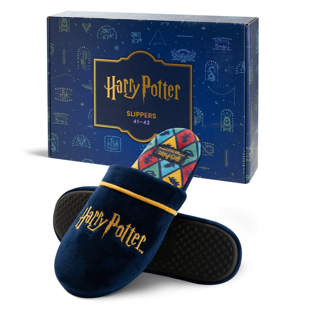 Harry Potter men's slippers