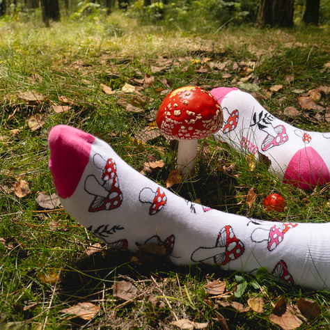 Women's socks SOXO mushrooms - 2 pairs