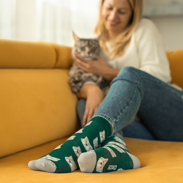 Cat Food Socks in a Can