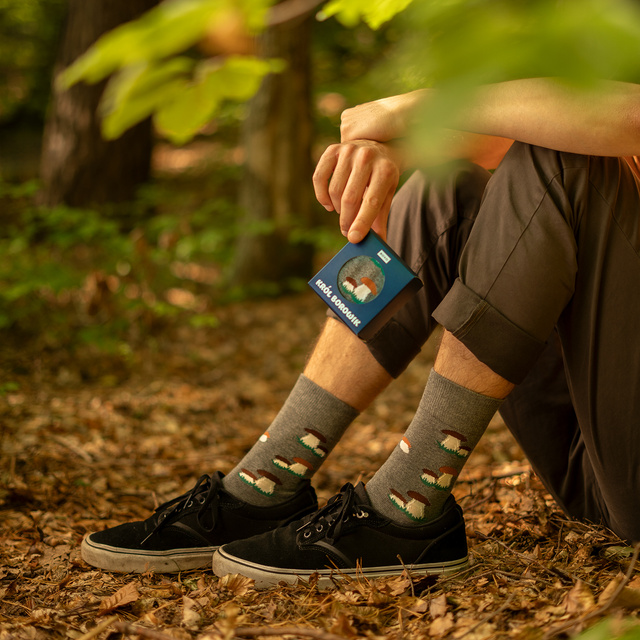 King Boletus Socks
