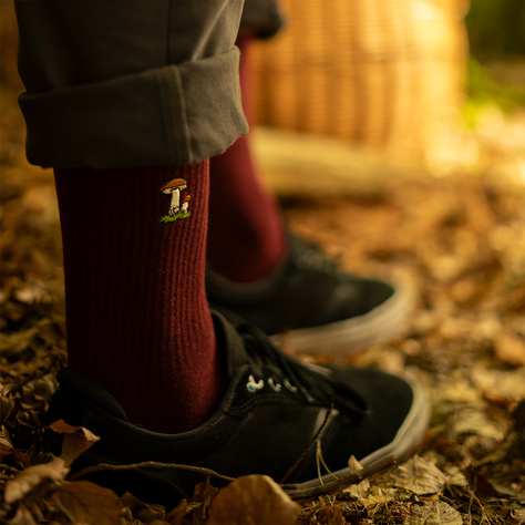 Set of 4x SOXO men's mushroom socks in a pack premium edition