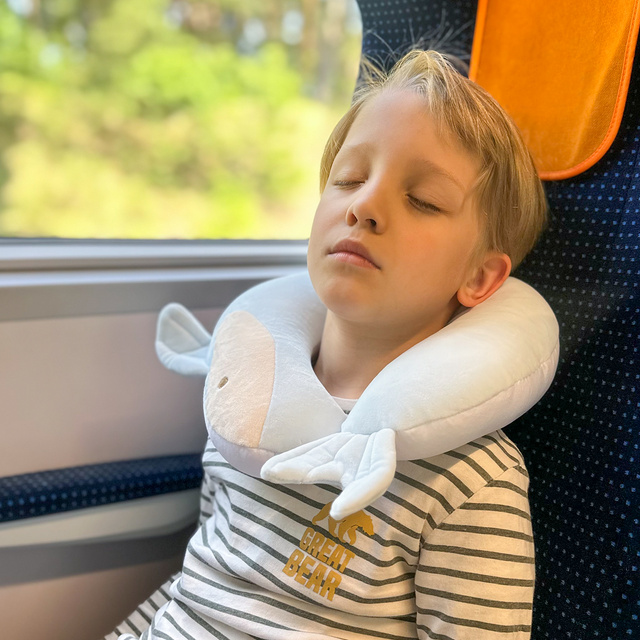 Dolphin Travel Pillow