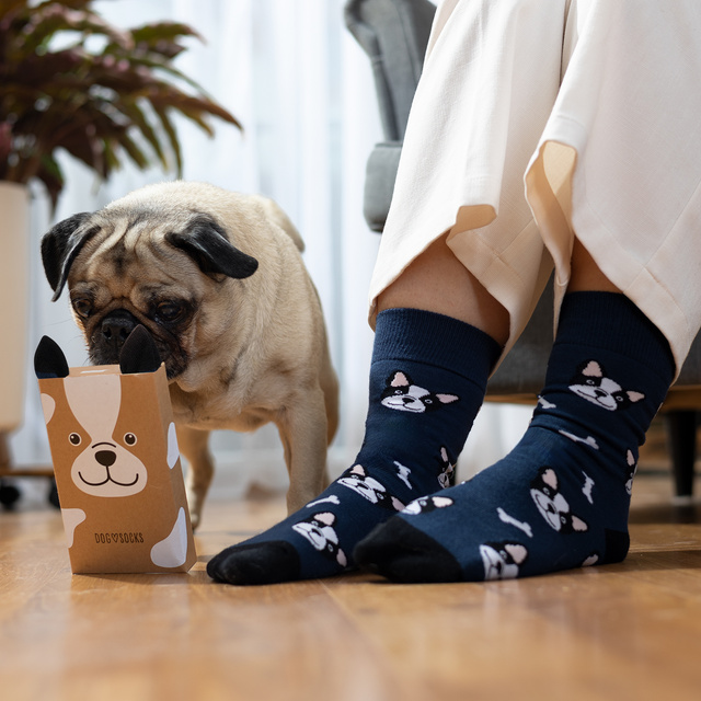Women's Socks | Men's SOXO | Dog in a box | perfect gift idea | Unisex