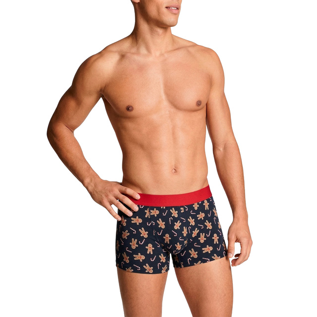 Set of 4x Christmas men's boxer shorts for Christmas, the perfect gift idea