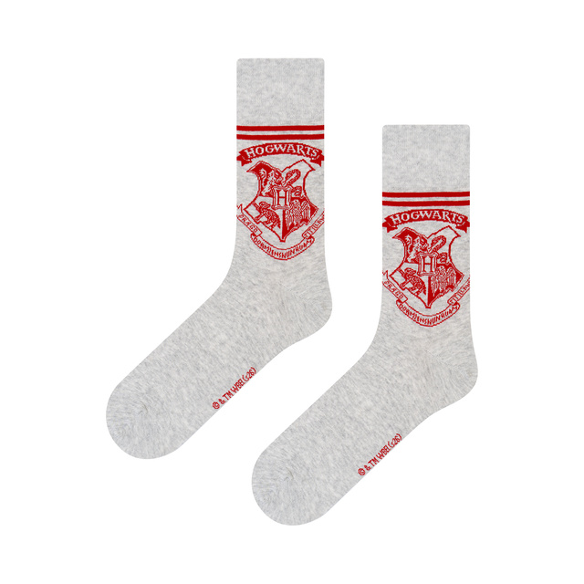 Skarpetki Harry Potter 2-pak