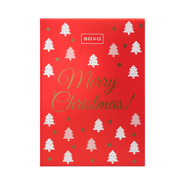 SOXO red hot water bottle warmer in a box | Christmas gift