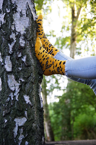 Set of 2x Colorful SOXO women's colorful cotton socks with leopard print