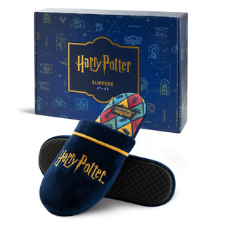 Harry Potter Men's Slippers