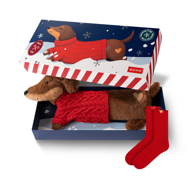 Dachshund Hot Water Bottle + Socks
