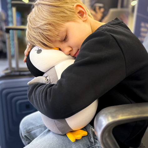 Multifunctional penguin pillow