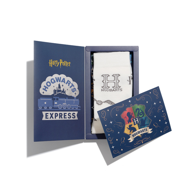 Harry Potter Socks in a Box