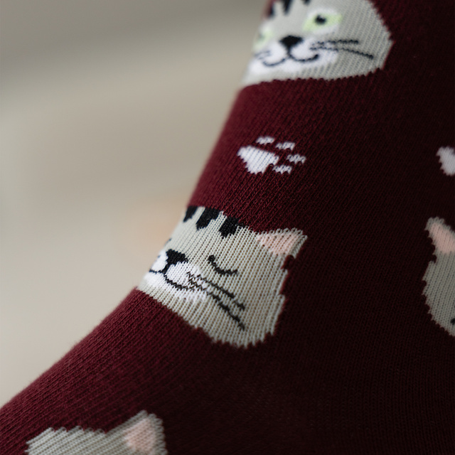 Women's Socks | Men's SOXO | Cat in a Box | fun gift idea | Unisex