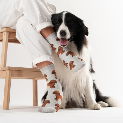 SOXO men's women's poodle socks in a can 