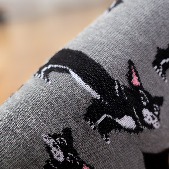 SOXO bulldog men's socks in a can 