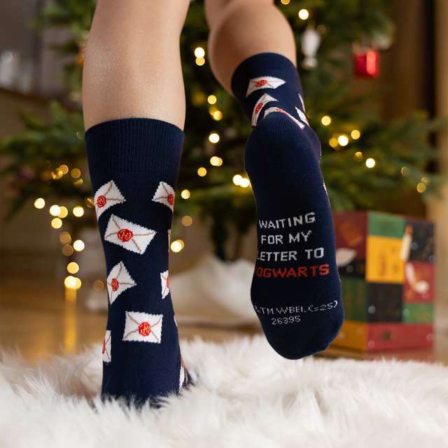 Harry Potter Socks Gift Set 24-Pack