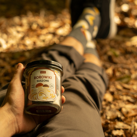 Men's colorful socks SOXO dried boletes