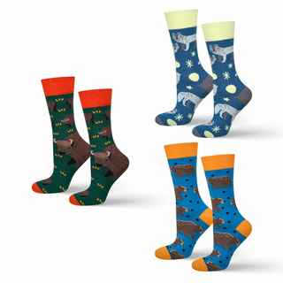 Polish Nature Socks 3-Pack