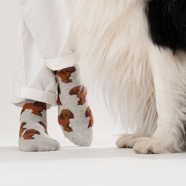 Dog Food Socks in a Can
