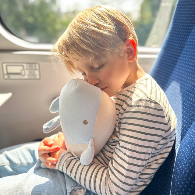 Dolphin Travel Pillow