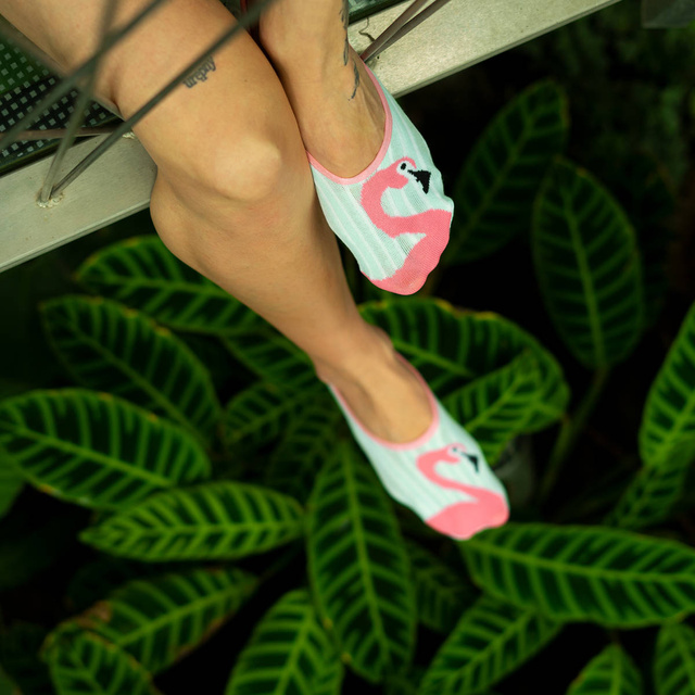 Ankle Socks 6-Pack