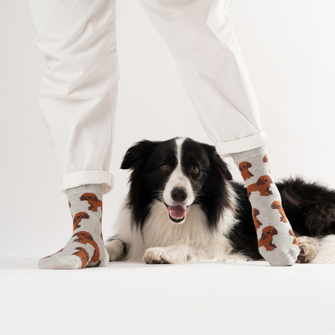 SOXO men's women's poodle socks in a can 