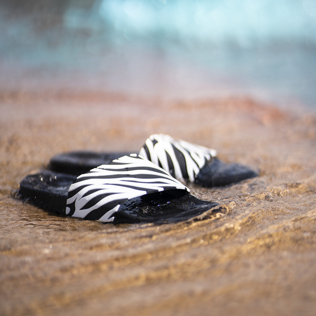 Klapki Zebra