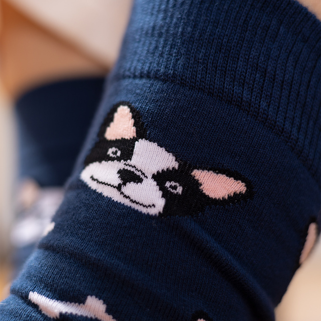 Women's Socks | Men's SOXO | Dog in a box | perfect gift idea | Unisex