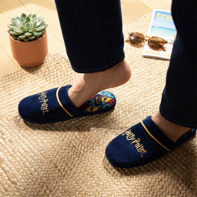 Harry Potter men's slippers