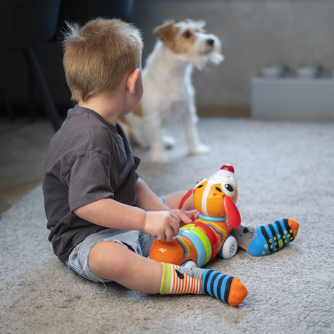 Set of 3x Colorful SOXO children's socks animals