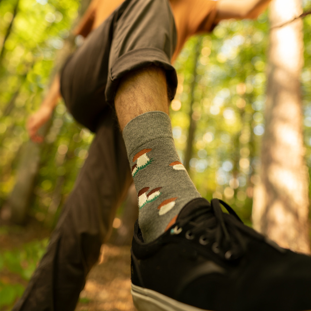 King Boletus Socks