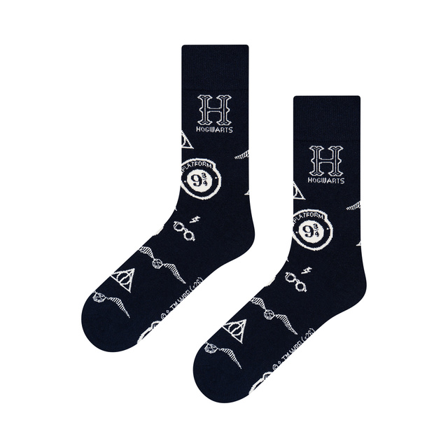 Harry Potter Socks in a Box