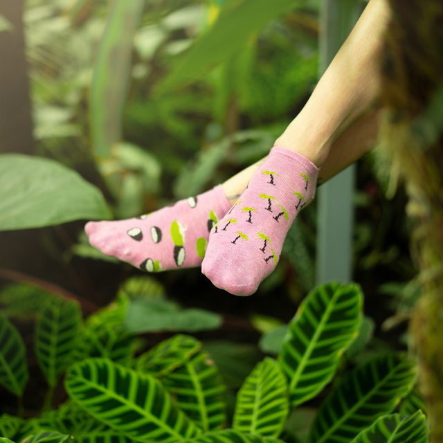 Ankle Socks 5-Pack