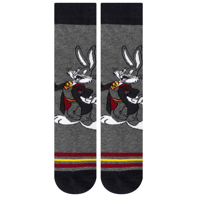 Set of 2x Men's colorful socks | Warner Bros | Bugs and Daffy | gift idea