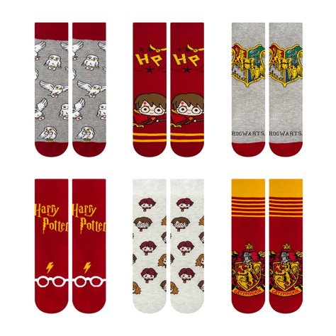 Advent calendar Harry Potter | gift idea for her | Saint nicholas' day | Set of 6x SOXO Women's socks