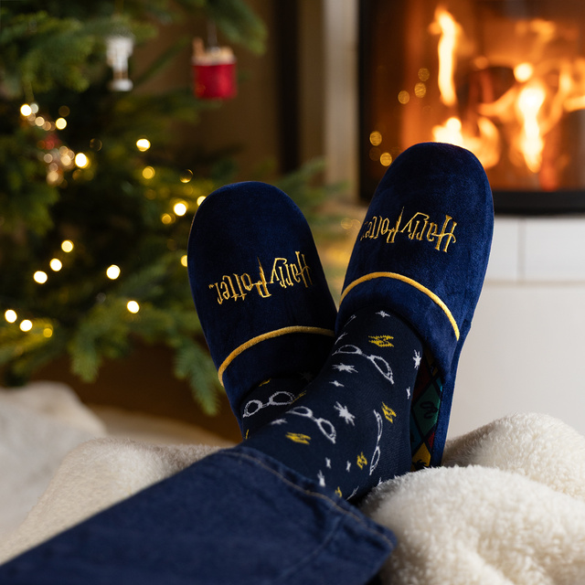 Harry Potter men's slippers
