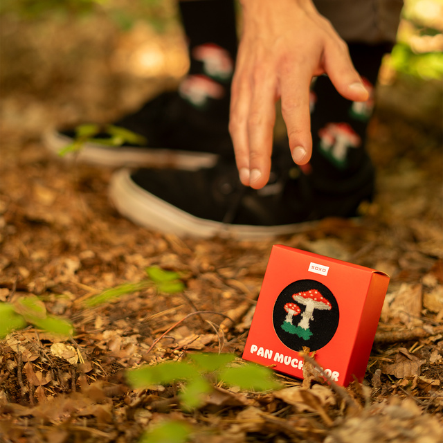 Mr Toadstool Sock