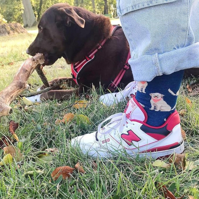 Dog Food Socks in a Can