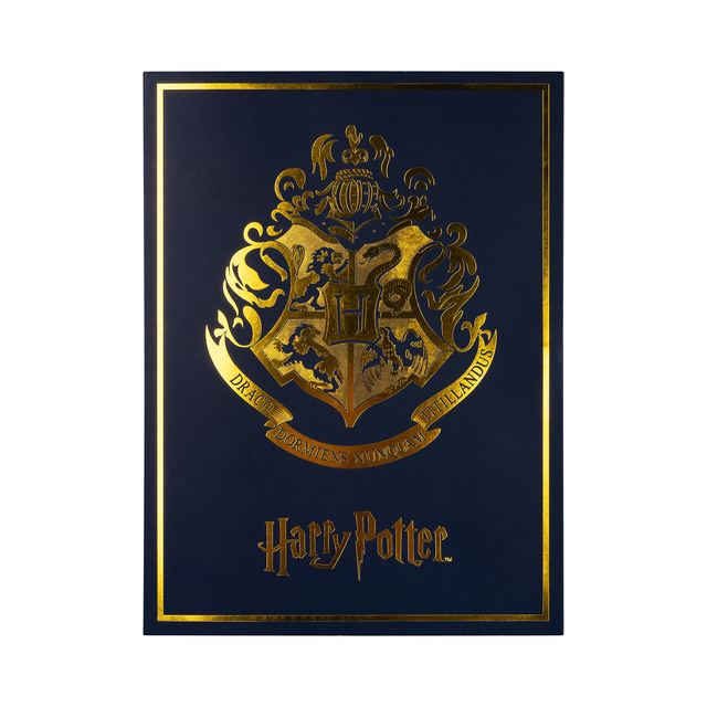 Gift Box ze Skarpetkami Harry Potter 6-pak