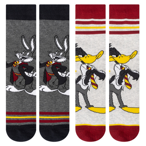 Set of 2x Men's colorful socks | Warner Bros | Bugs and Daffy | gift idea